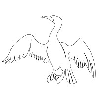 cormorant single